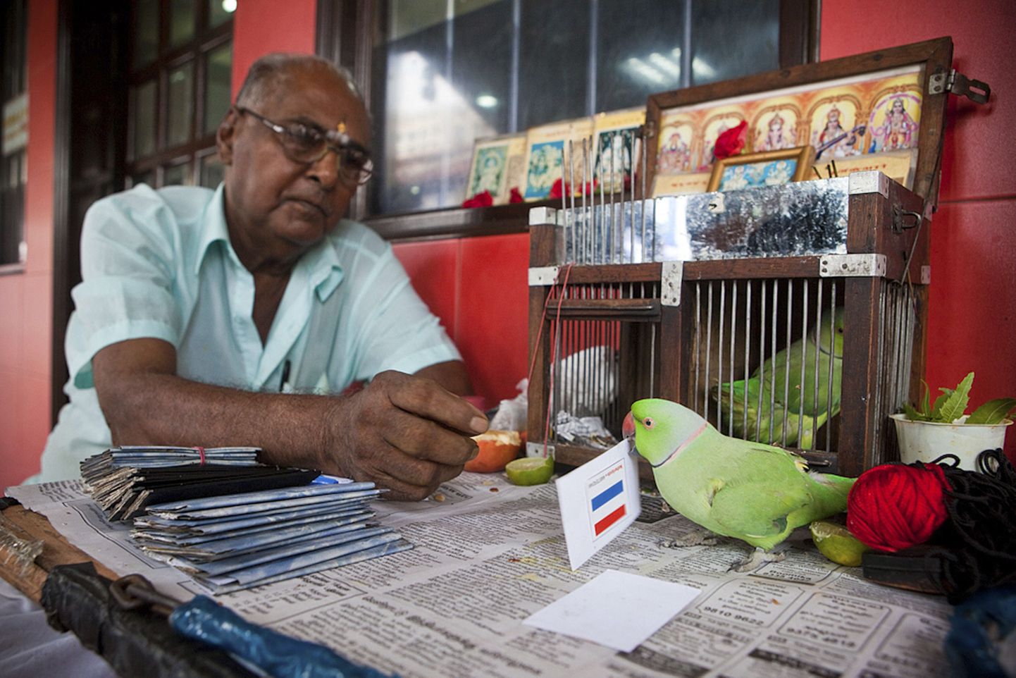 Singapuri jalgpallihuviline papagoi ennustab 10 singapuri dollari eest umbes 30-le inimesele päevas.