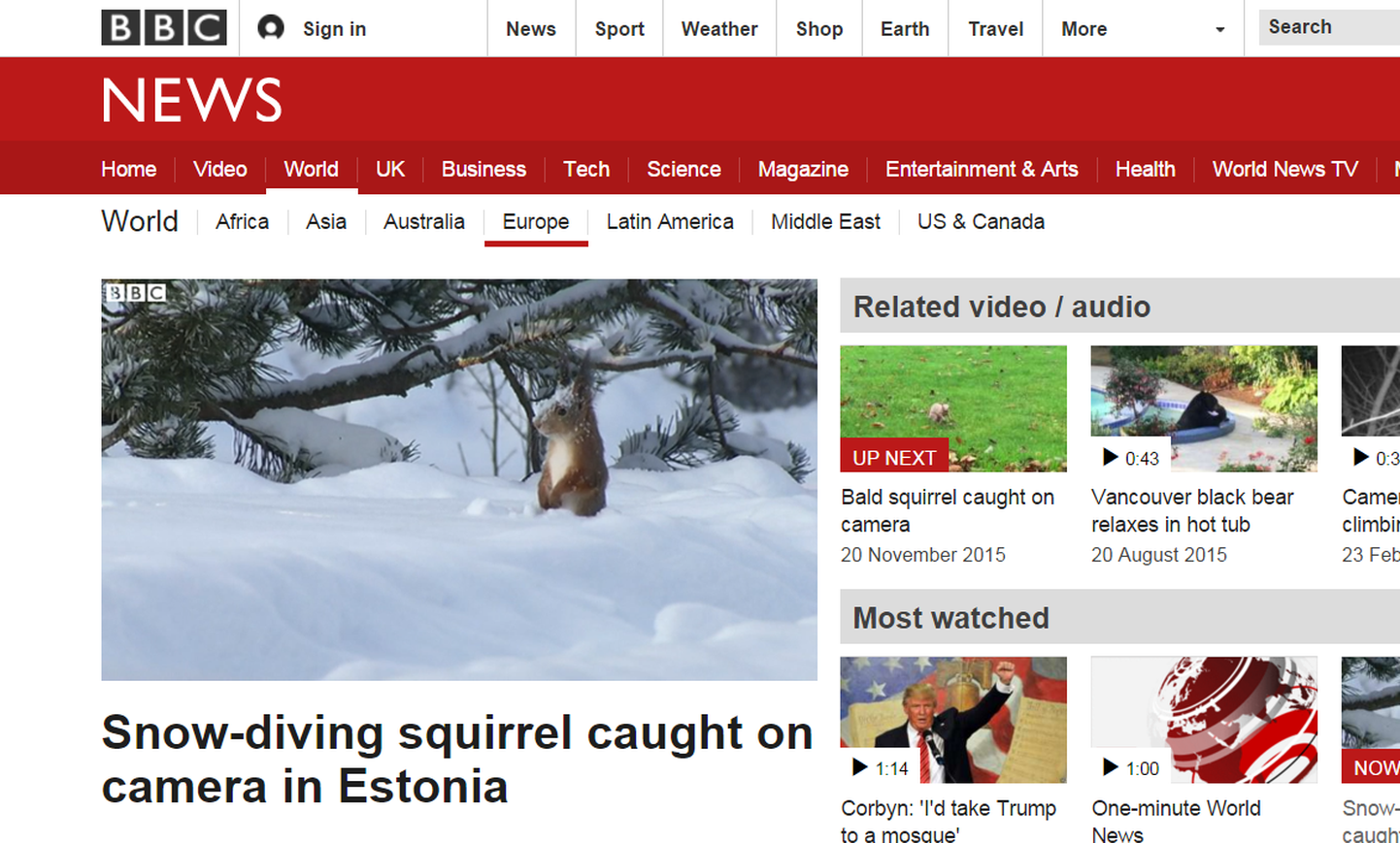 Pärnumaa orav jõudis rahvusvahelisse meediasse.