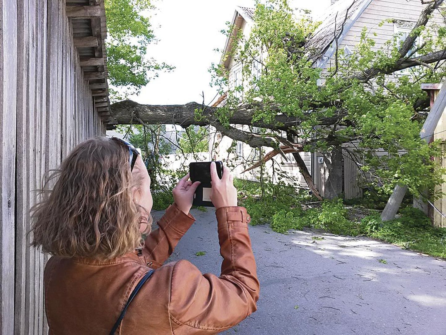 Pärnus Tui tänaval maruga murdunud tammepuu räsis ühel majal katust ja painutas kolmel tänaval pikali mitu elektriposti.
