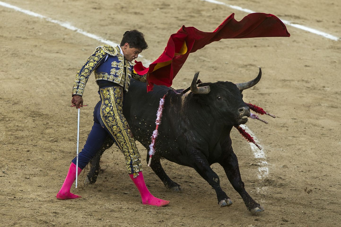 Härjavõitleja Alberto Escudero 28. juunil Madridis.