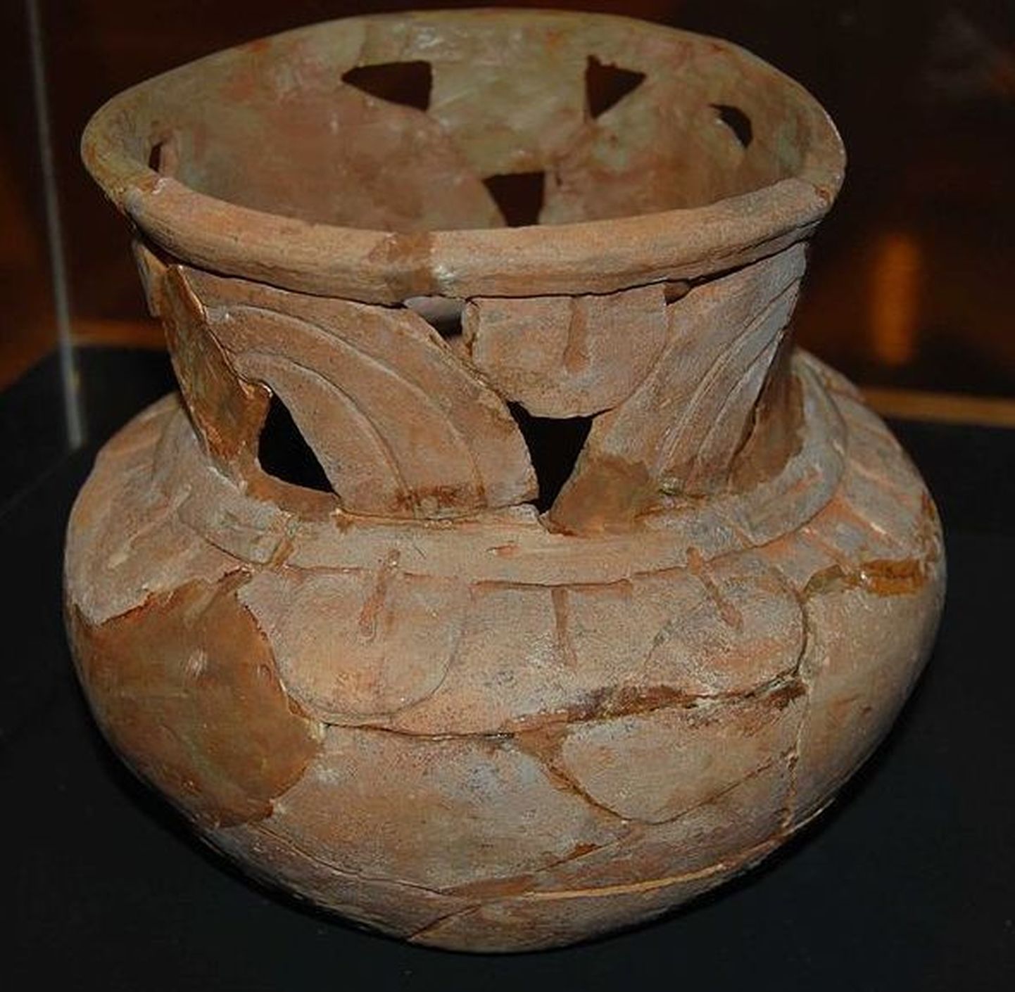 Põhja-Ameerikas põliselanikud jõid tuhat aastat tagasi okseiileksi (Ilex vomitoria) lehtedest valmistatud kanget teed