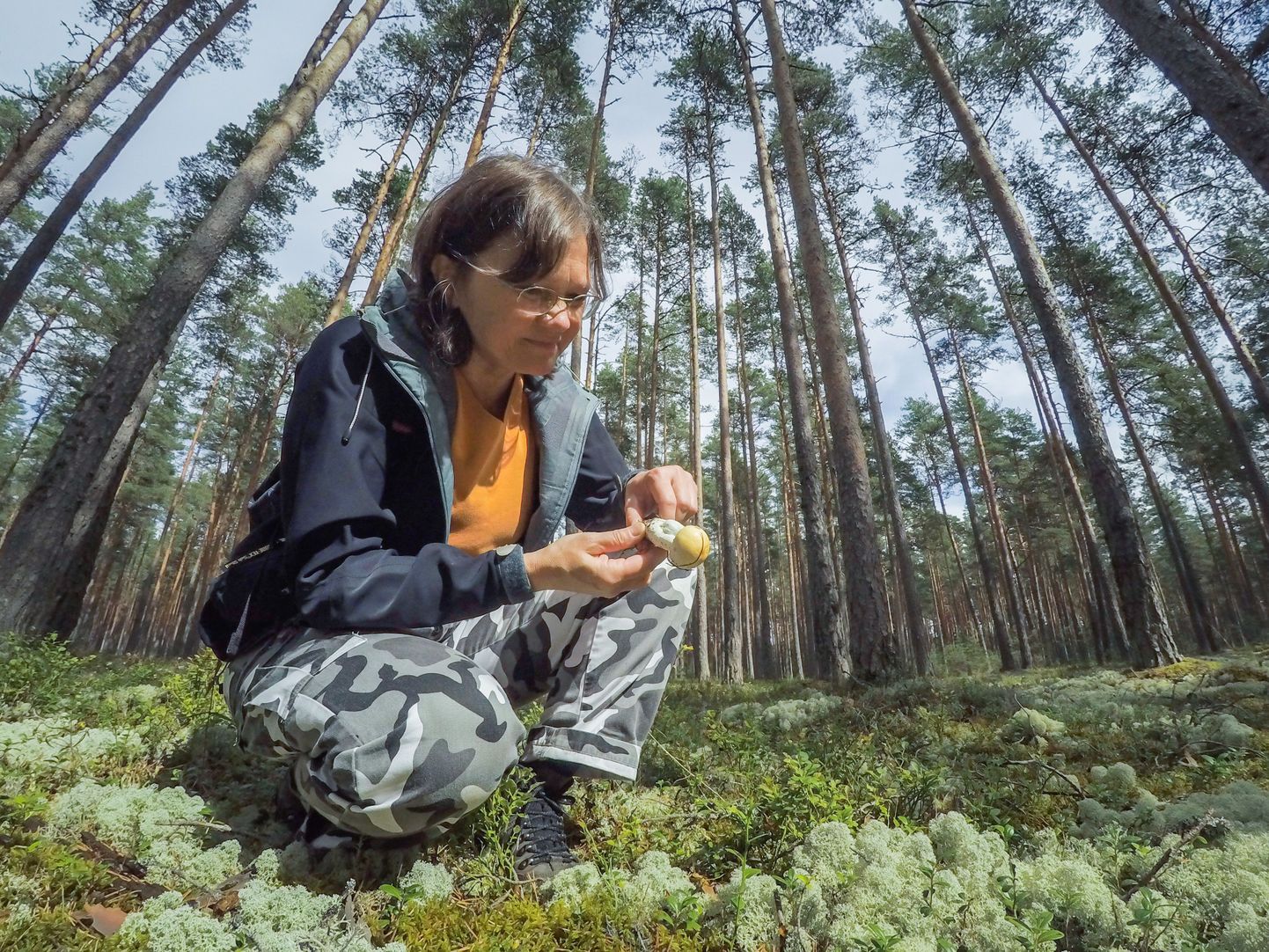 Eesti loodusmuuseumi botaanika osakonna juhataja Loore Ehrlich uurib Kuusalu lähistel metsaande.