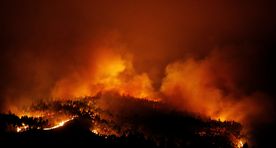 Galerii: Portugali metsapõleng nõudis üle poolesaja ohvri