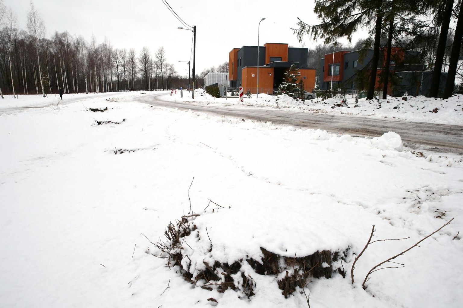 Ujula tänaval Emajõe linnaujula parkla kõrval liiklejais tekitas küsimusi seal kasvanud puude kadumine.