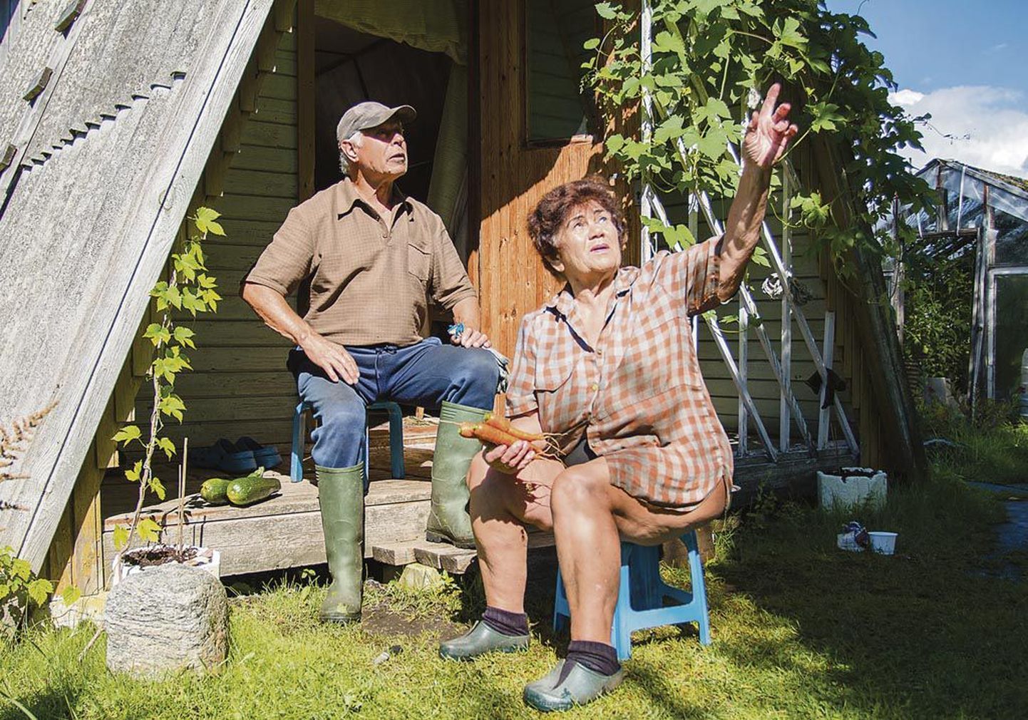 Korterielanikud Galina ja Juri on 30 aastat telemasti all aiamaad pidanud. Aiamaa tähendab neile puhkust ja sõbralikult koos askeldamist.