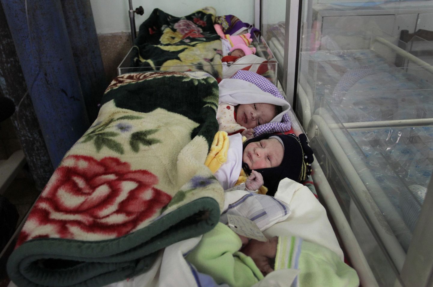 Afganistanis sündisid kuuikud