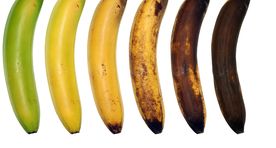 Video: milline banaan on söömiseks parajalt küps?