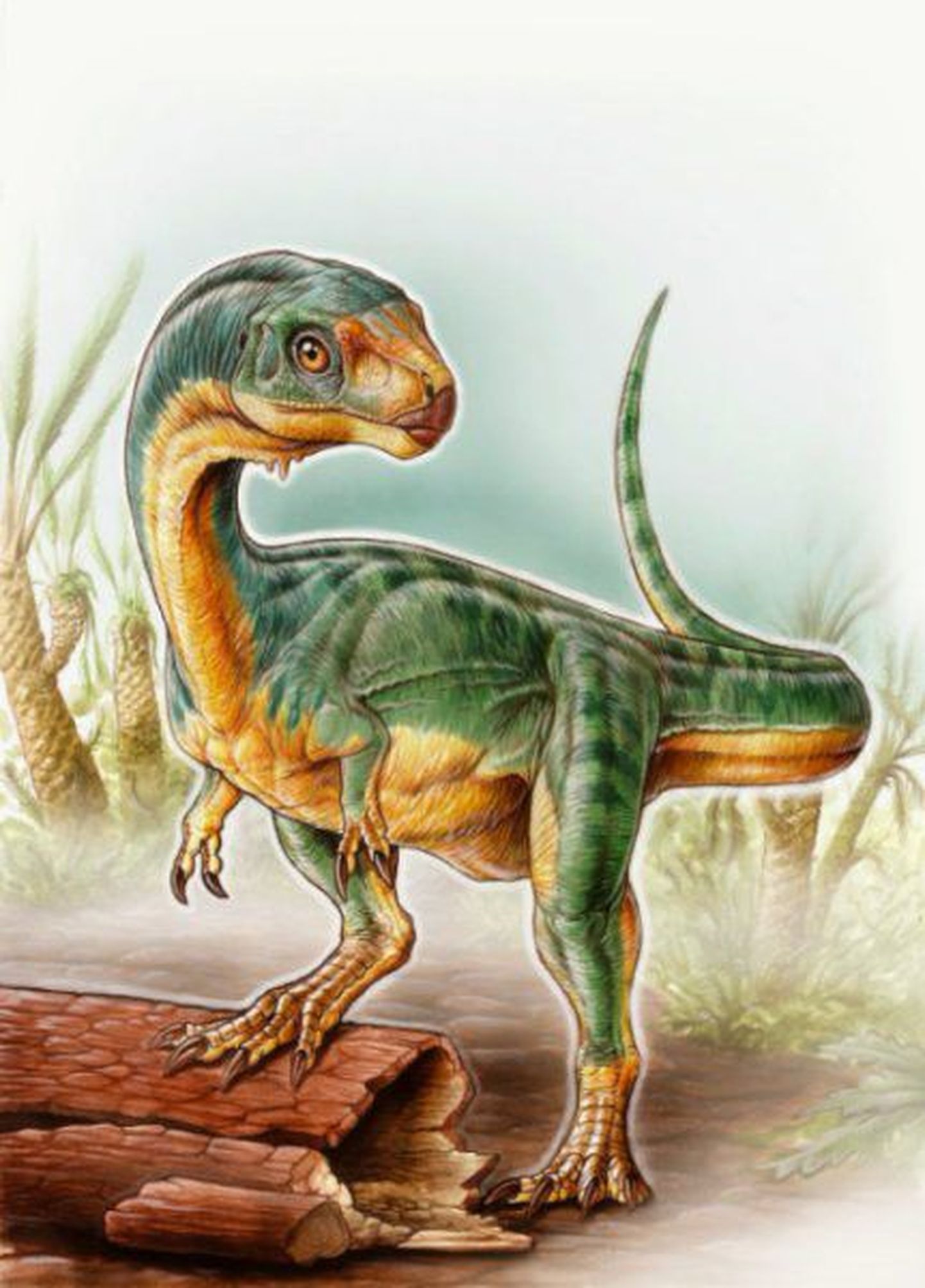 Kunstniku kujutis Frankensteini dinosauruseni tuntud Chilesaurus diegosuareziis'ist.