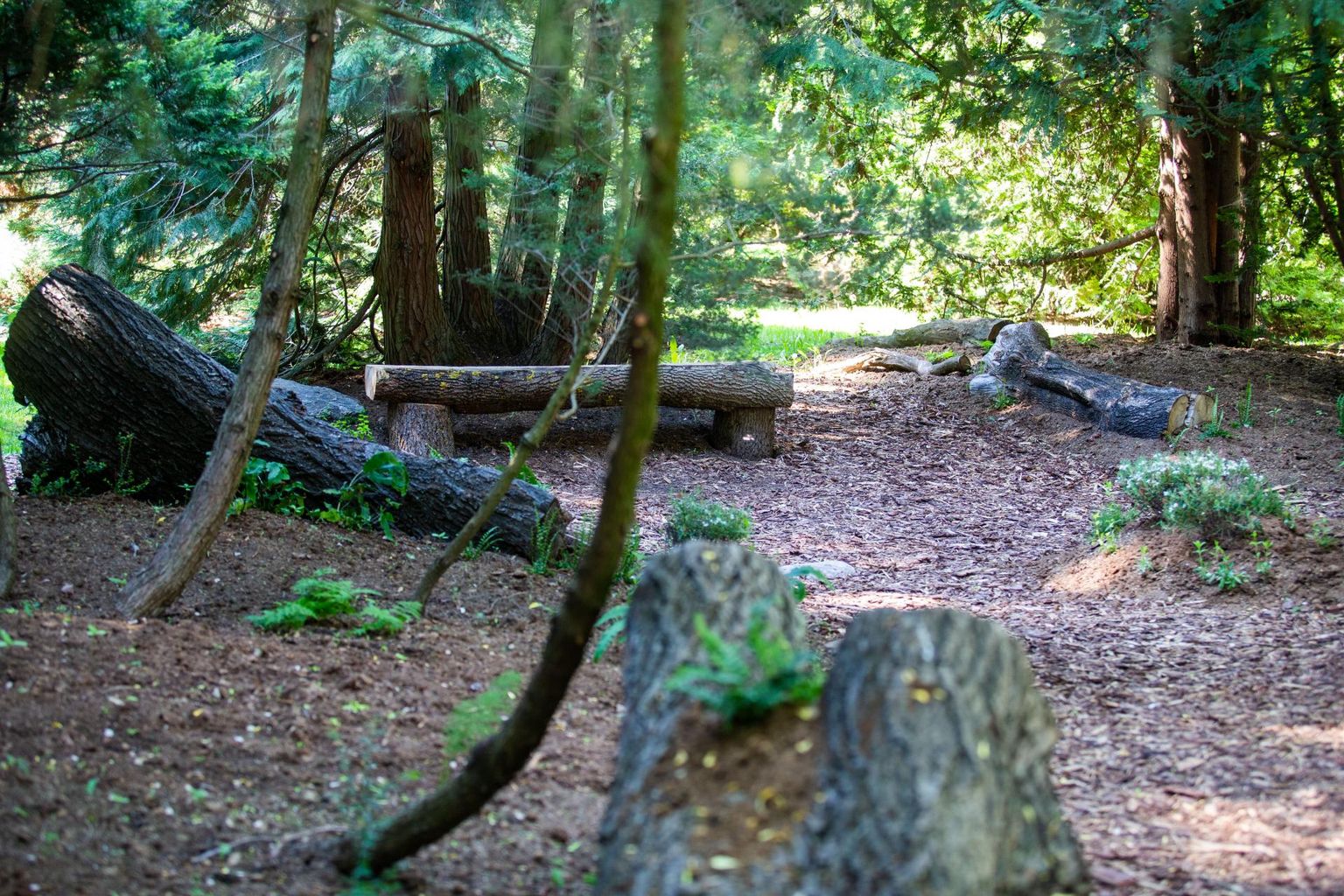 Varjumetsa suurelt avada pole kavas. Juba praegu pääseb sinna vabalt uudistama ja jalga puhkama.