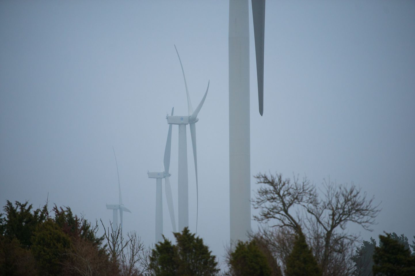 Nelja Energiale kuuluv Pakri tuulepark.