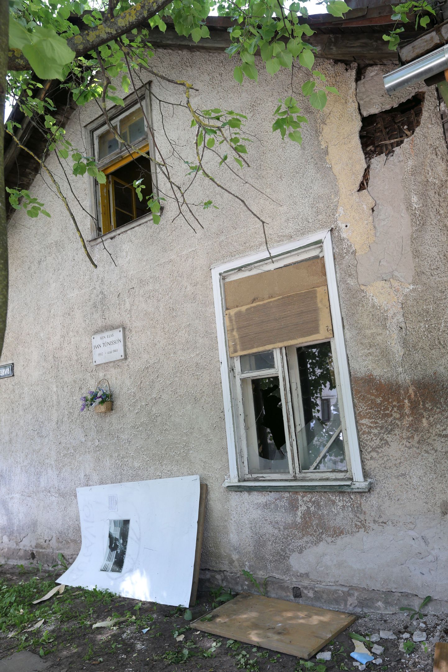 Jaan Tõnissoni majja kolinud skvotterid eemaldasid katkiste klaasidega akende eest sinna aastaid tagasi löödud plekktahvlid, et hoonet saaks tuulutada.