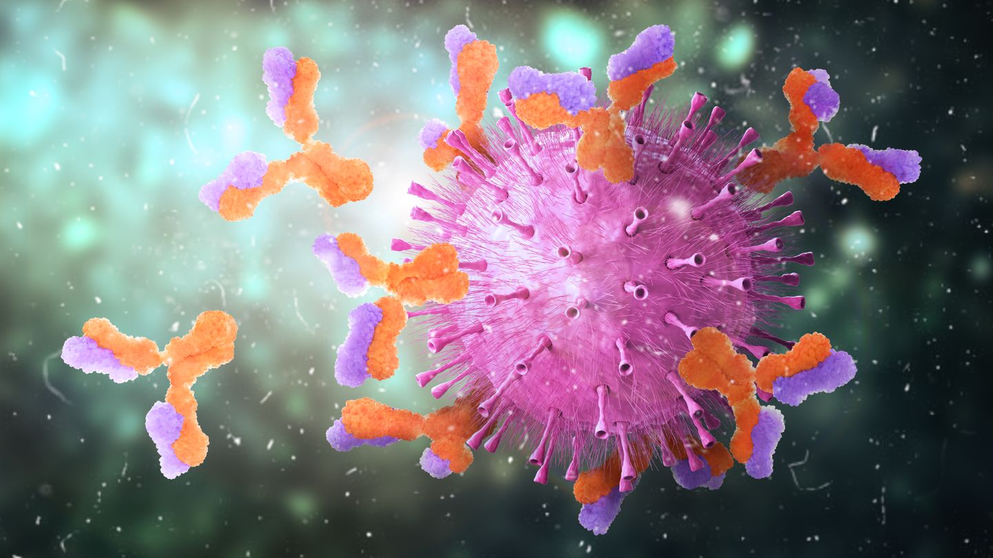 Антитела атакуют коронавирус. Иллюстративное фото.