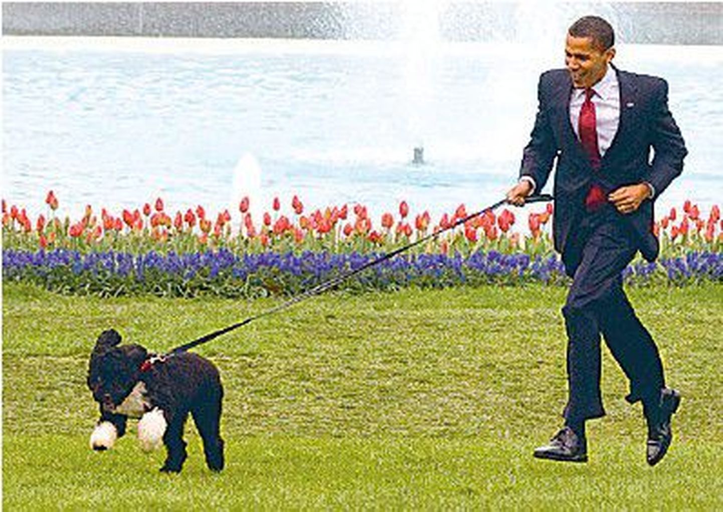 Барак Обама во дворе Белого дома с собачкой Бо.
