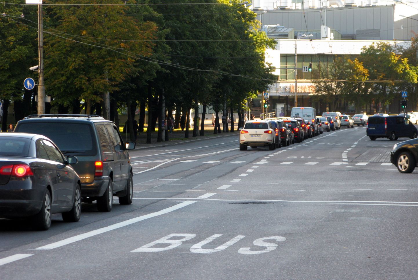 Ühissõidukirada Estonia puiesteel.