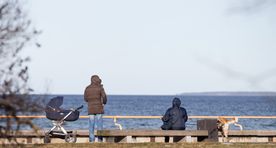 Пятницу украсит весеннее солнце