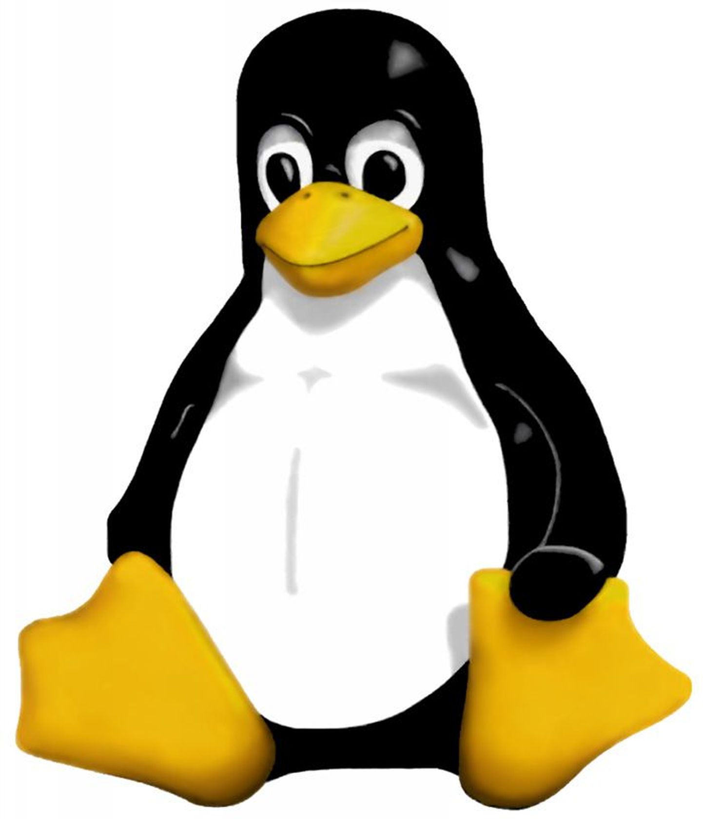 Mitu ministeeriumi ja nende allasutust on serveritarkvarana võtnud kasutusele Linuxi. Fotol on Linuxi maskotina tuntud pingviin.