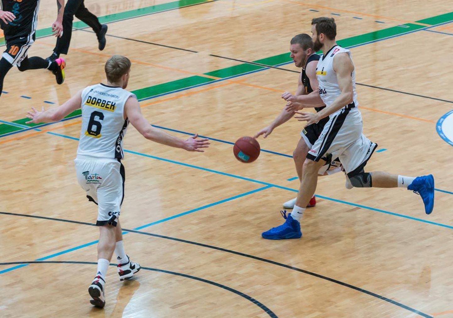Korvpalli meistriliigas kohtuvad Pärnu Sadam ja AVIS Rapla.