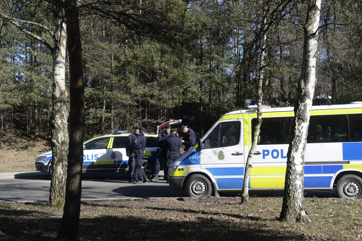 Rootsi politseiautod.
