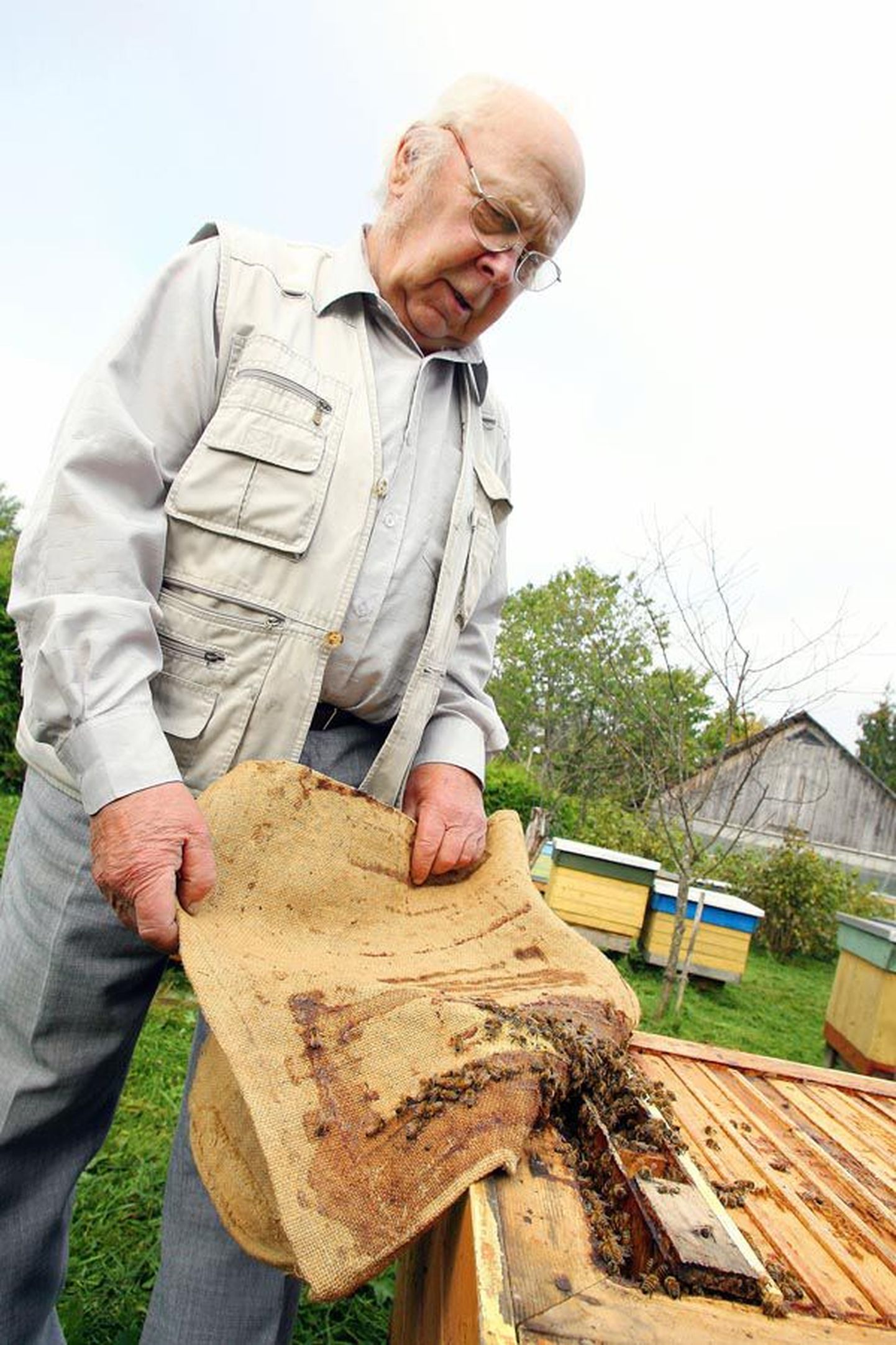 Pikki aastakümneid mesilasi pidanud Antu Rohtlat paneb mesilaste suur suremus muretsema ning ta leiab, et Eestis tuleks selle tagamaid põhjalikult uurida.