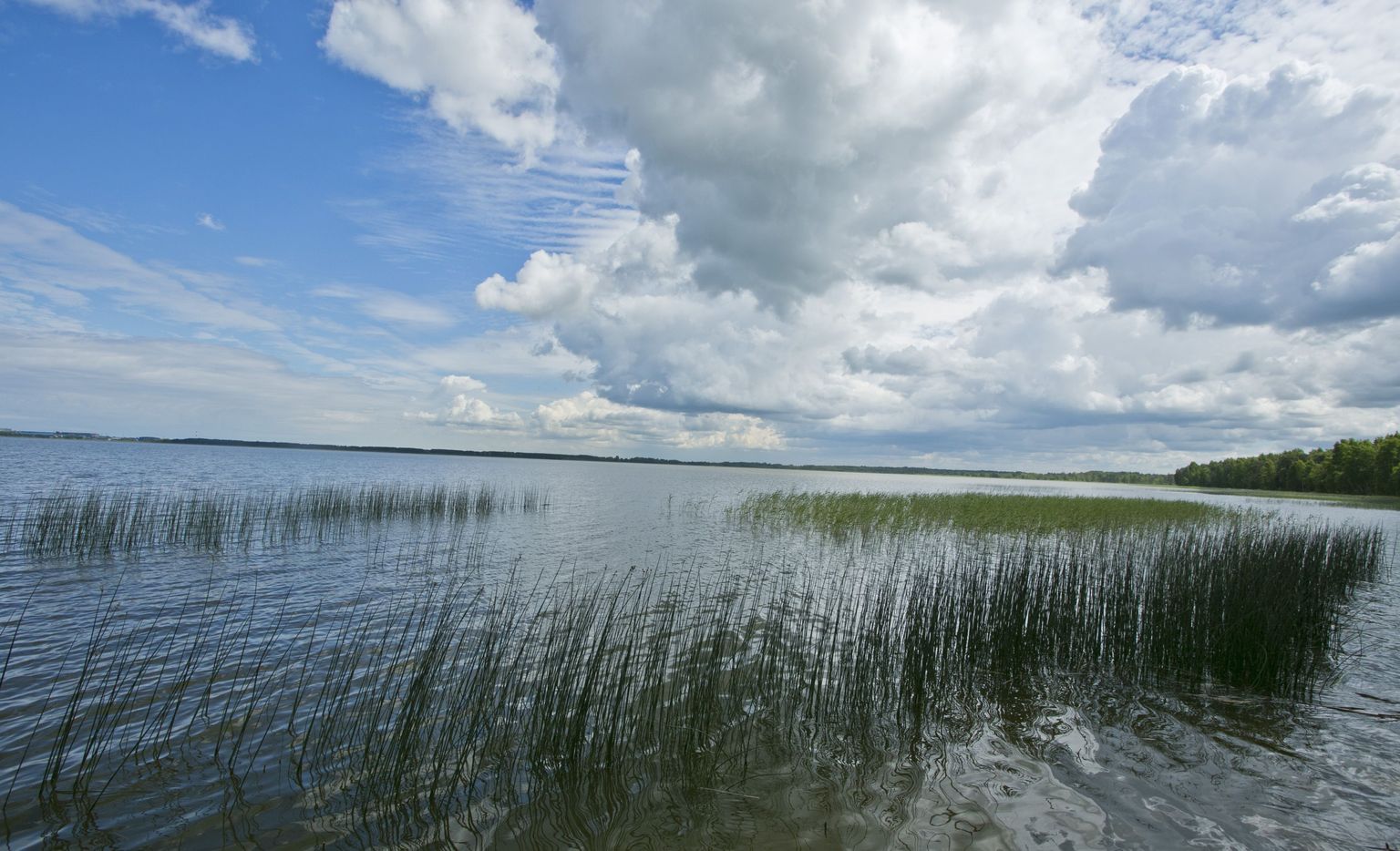 Supluskohana ei ole Ülemiste järv kuigi atraktiivne.
