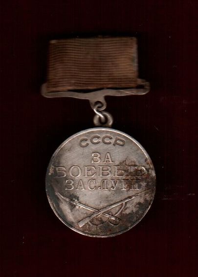 Медаль «За боевые заслуги». Фото:
