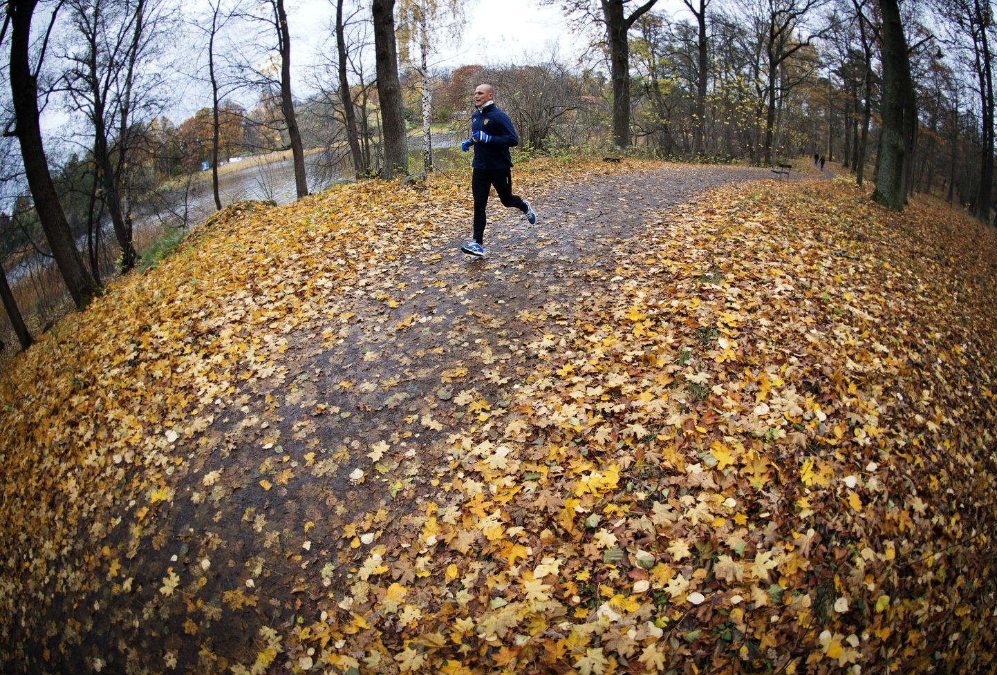 Stockholmis Djurgardeni pargis sai eile rahulikult joosta.