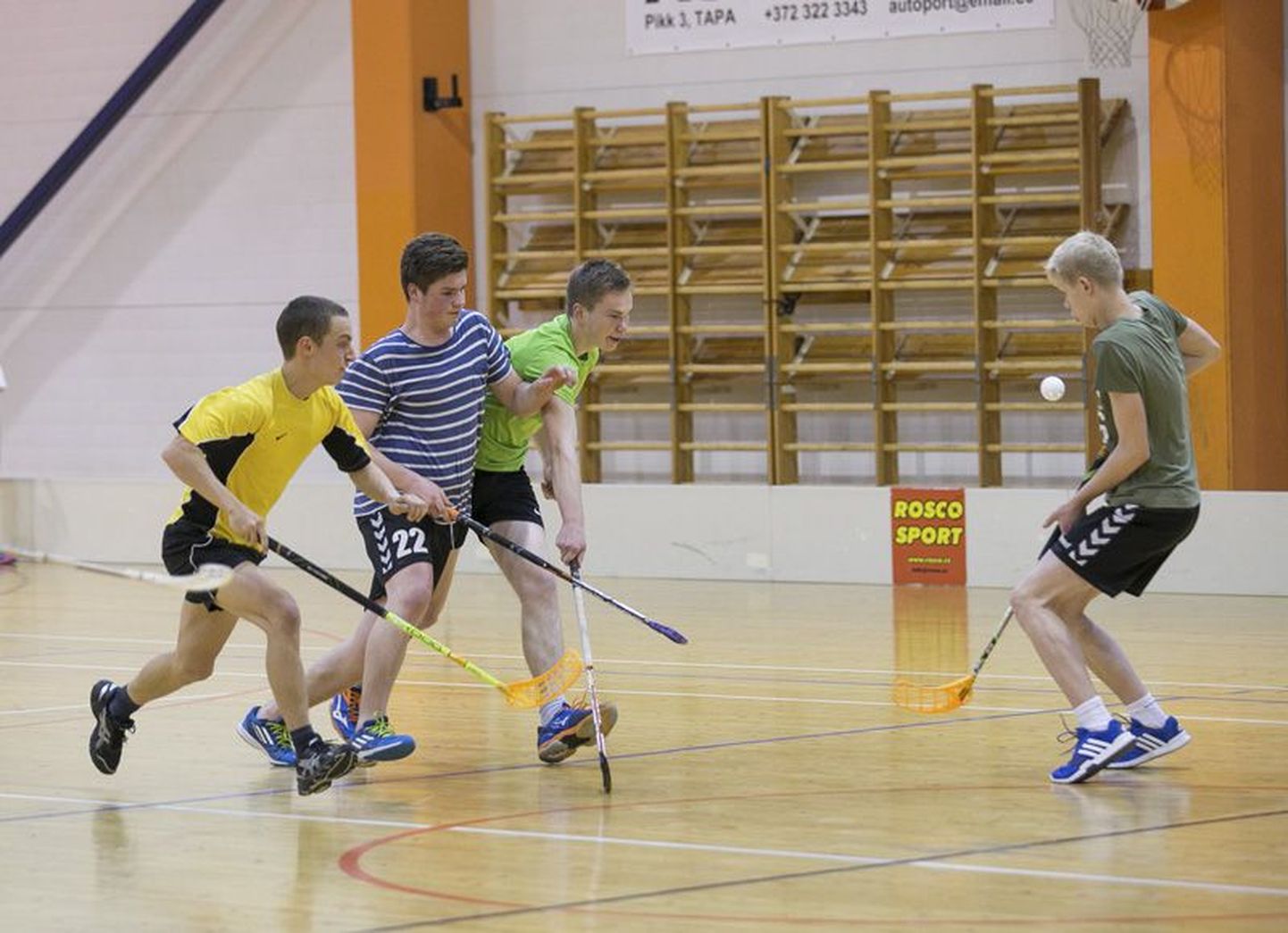 Spordiklubi Jäneda saalihokimängijad treenivad nii Tapal kui Jänedal. Kiire ja tehniline mäng võtab kiiresti võhmale.