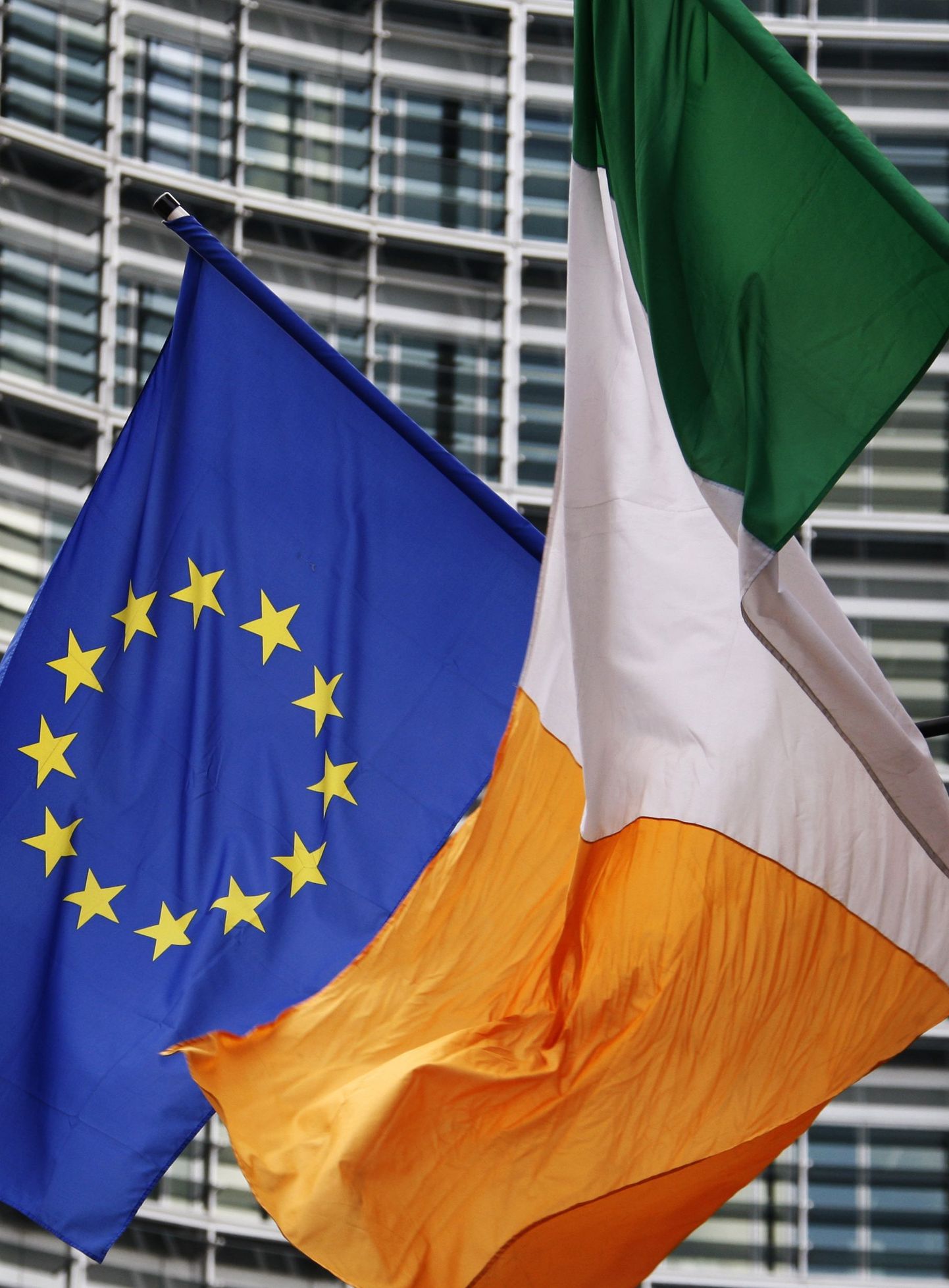 Euroopa Liidu ja Iirimaa lipp.