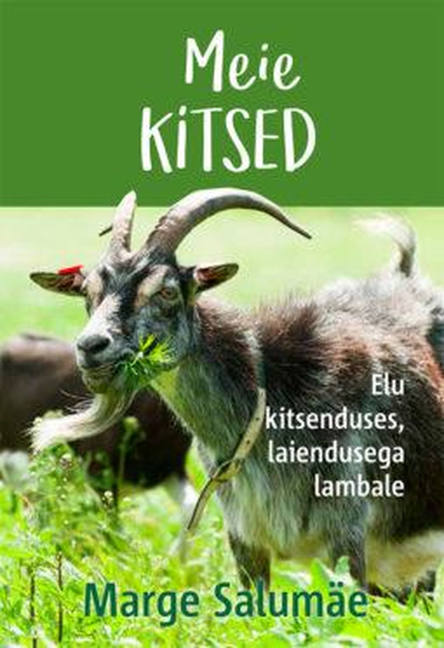 Marge Salumäe avaldas raamatu, millest saavad abi kitsekasvatajad ja lusti lugemishuvilised.