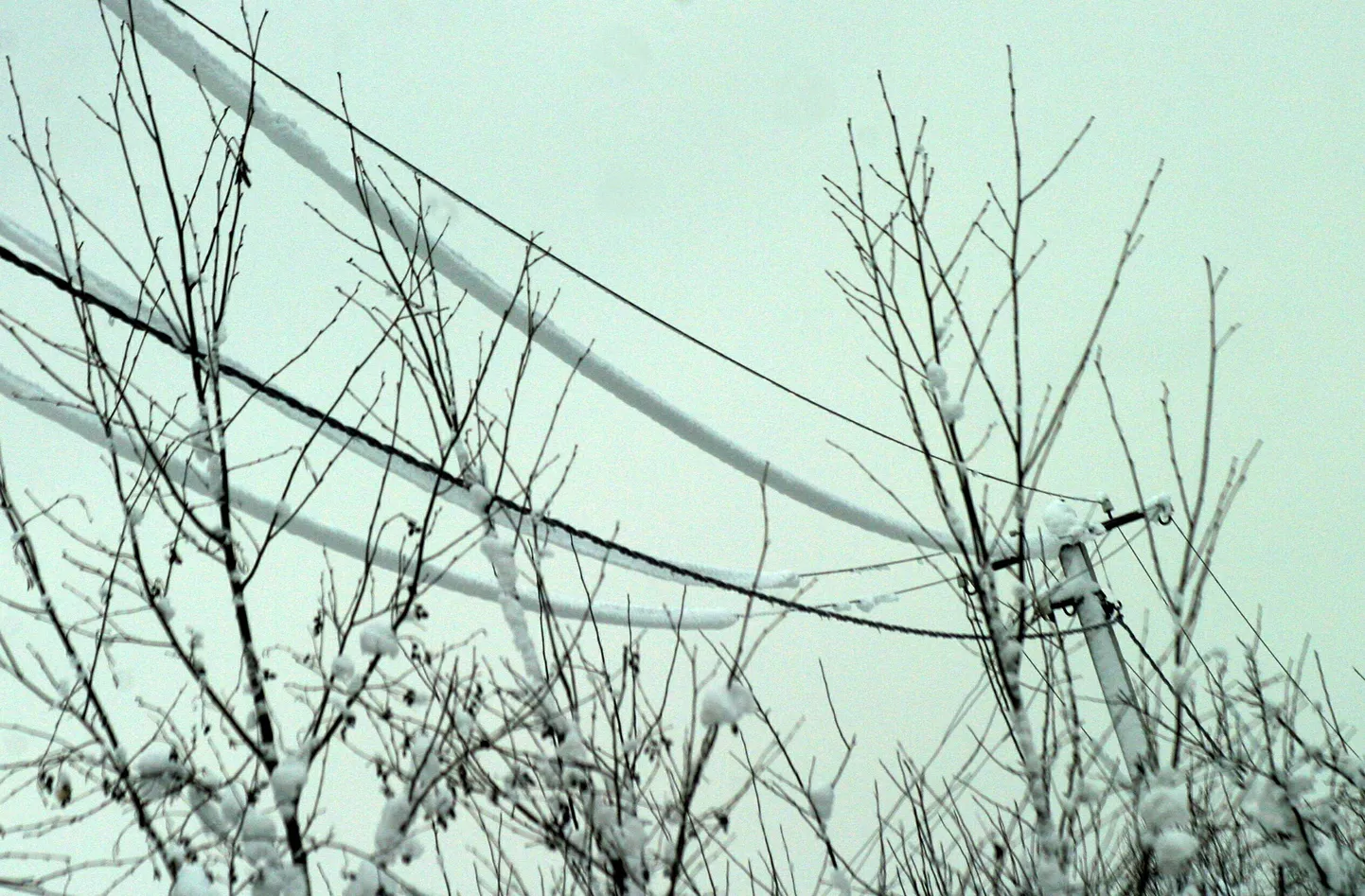 Elektriliinid. Foto on illustreeriv.