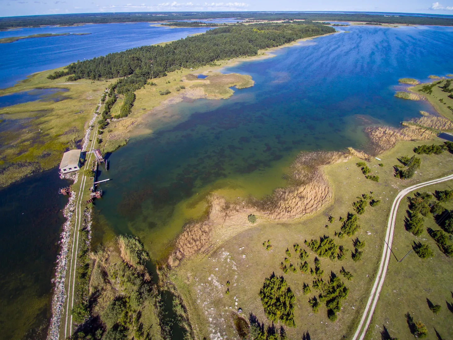 UNDU LAHT on suurest merest tammiga eraldatud. Tammil asuvad Saare 
Kaluri kunagise kalakasvanduse majandushooned. Undus üritati kasvatada 
angerjat, karpkala ja vikerforelli, kuid see ei tasunud ennast kunagi ära.