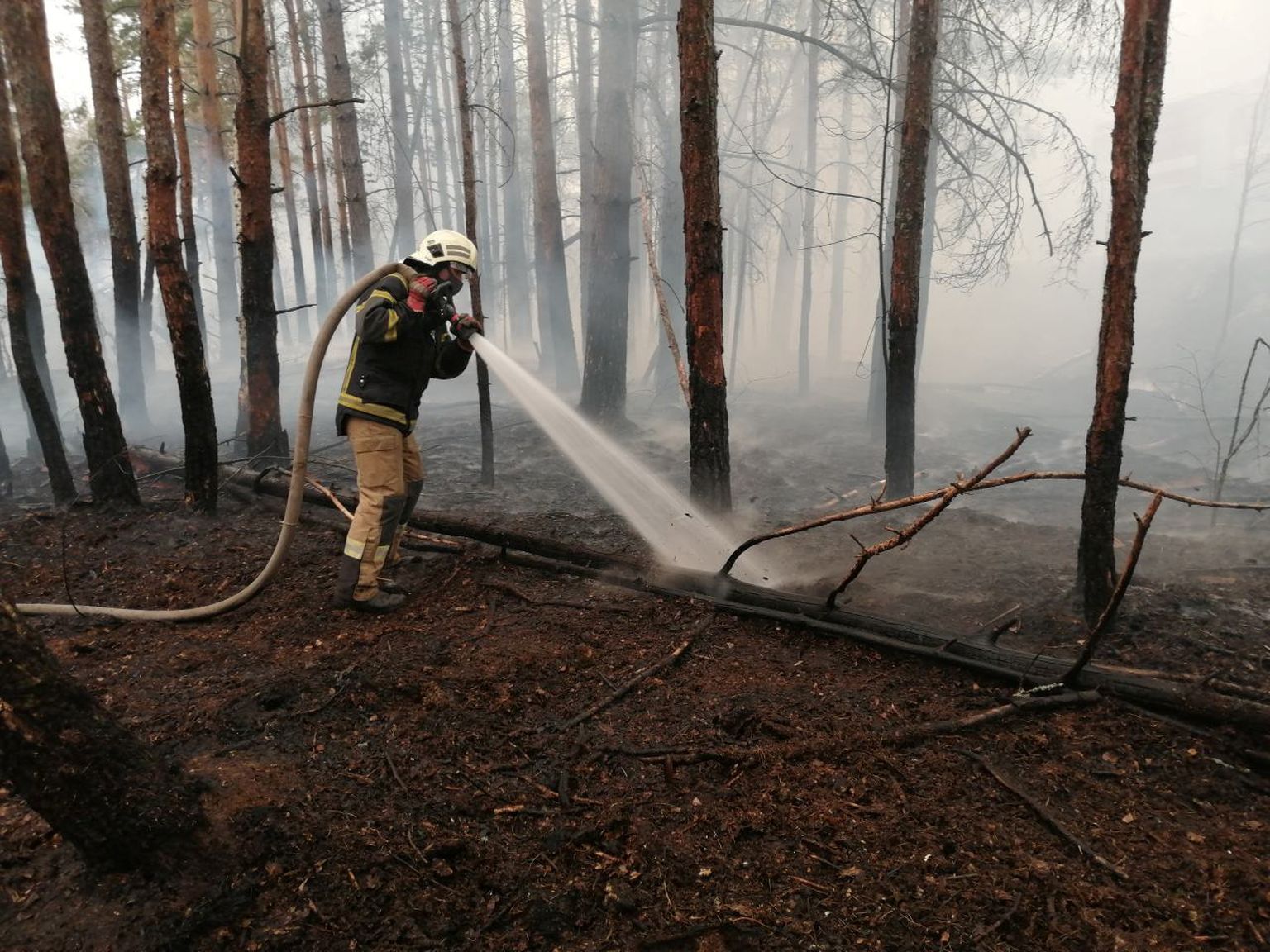 17 апреля, 2020. Пожарные пытаются погасить пожары в Чернобыльской зоне.