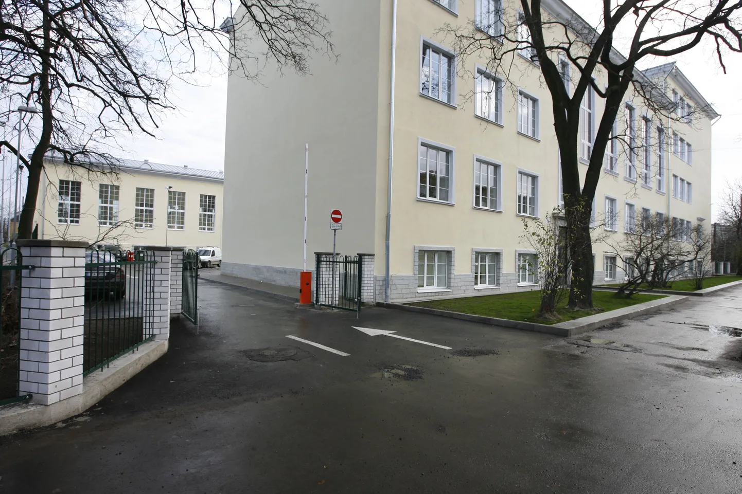 Tallinna ühisgümnaasium.