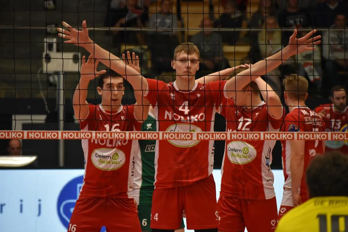 Timo Tammemaa on Belgia tippmeeskonna Maaseiki Noliko põhitegija.