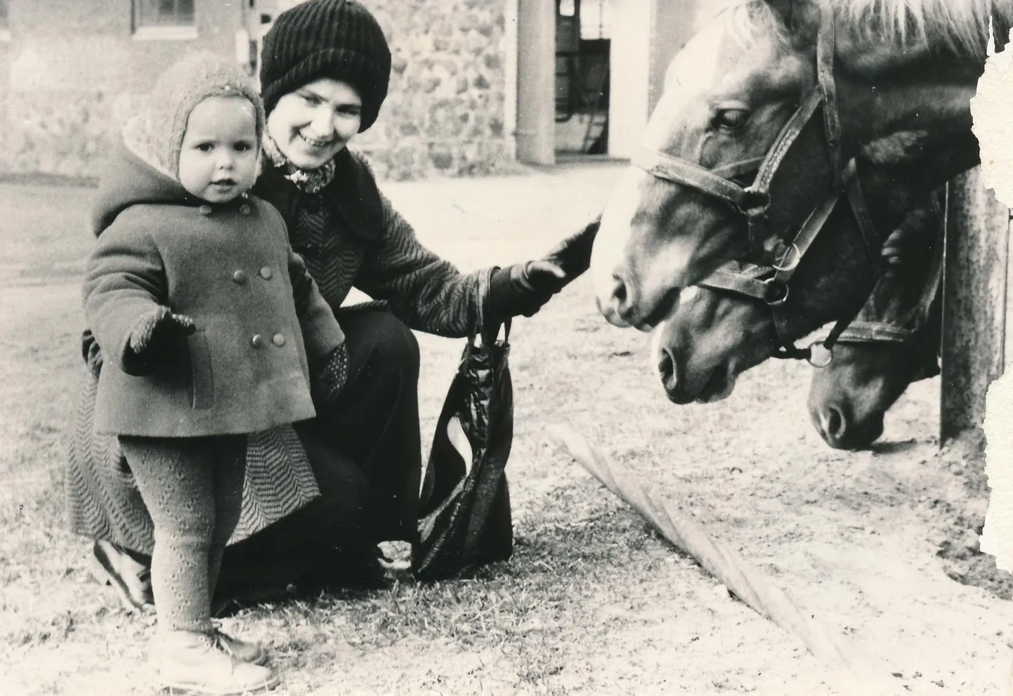 Teleajakirjanik Anu Välba «Pilt on pärit aastast 1976. Selle tegi minu isa Ants. Nagu teada, müüvad piltidel kõige paremini lapsed ja loomad. See tingimus on siin ideaalselt täidetud. Tegelikult on aga peategelane pildi keskel - minu kallis ema Malle! Inimene, kelleta mind ei oleks olemas ja kelle headus on piiritu.»