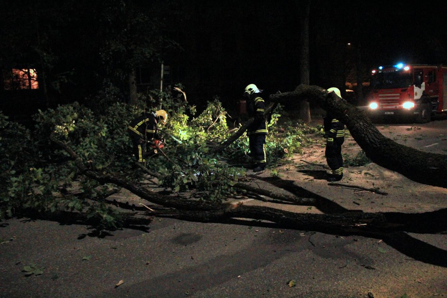 Päästjad aitasid Häädemeeste vallas teele kukkunud puule otsa sõitnud juhti. Pilt on illustratiivne.
