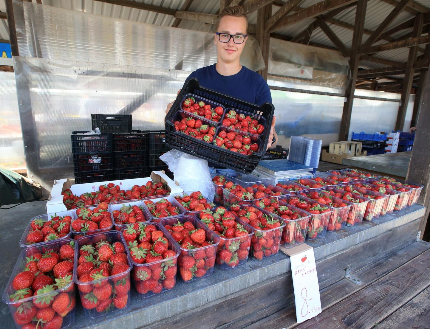 Markko Poljakov Aru talust müüs eile Tartu avaturul maasikaid kaheksaeurose kilohinnaga. Et ennelõunal müük hästi ei läinud, mõtles ta hinda alandada. 