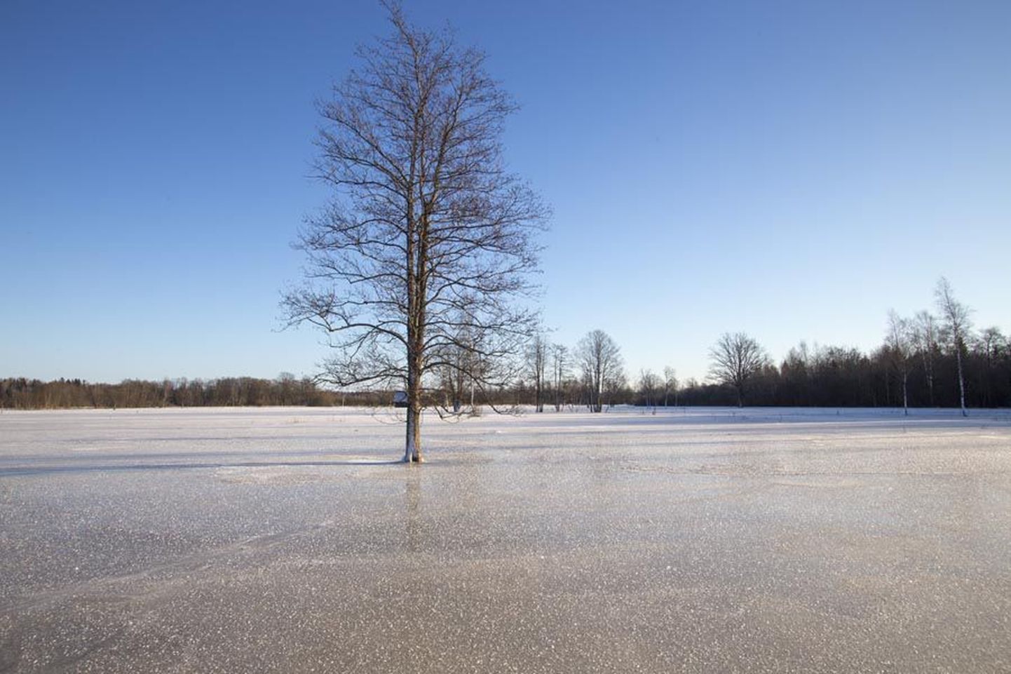 Olgugi et Tipu kandi suurvett katval jääl lesib õhuke lumekiht, on väljad toredasti libedad ja pakuvad Soome kelguga matkajatele häid tingimusi.