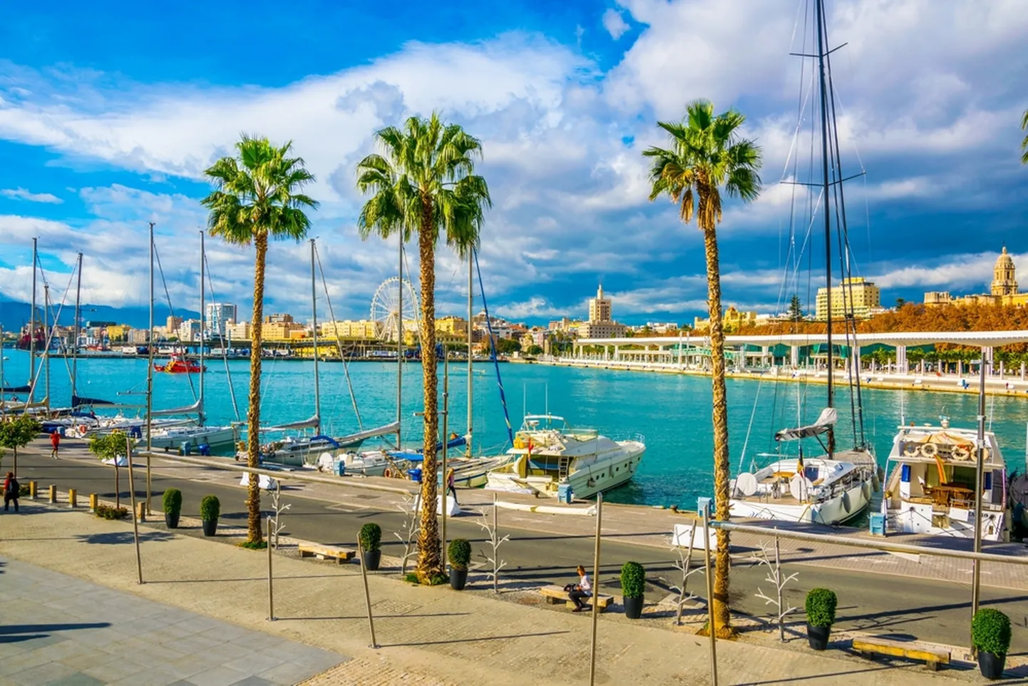 Malaga.