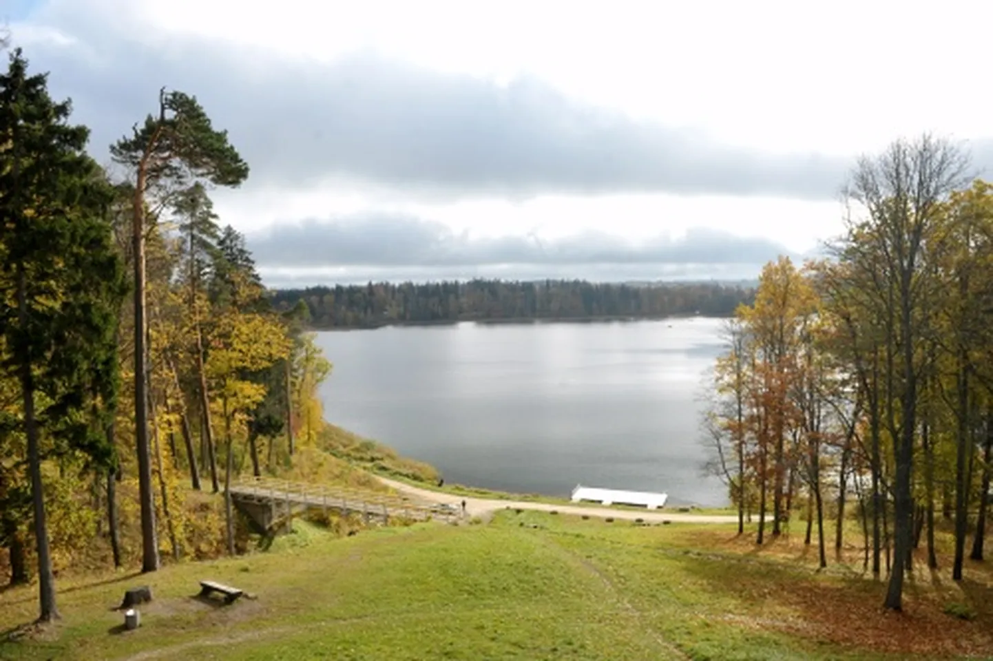 Raksta foto