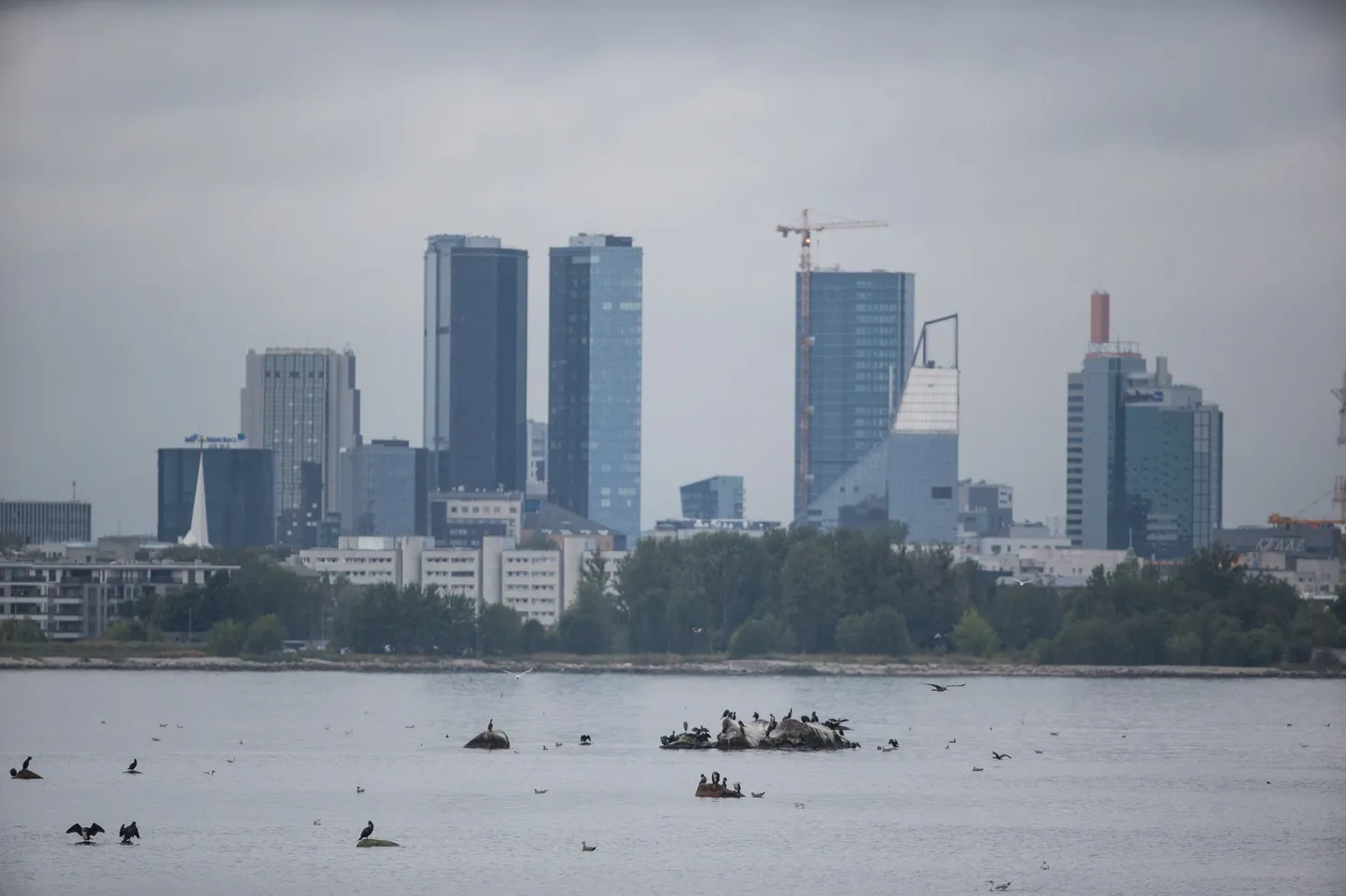 Tallinna kõrghooned.