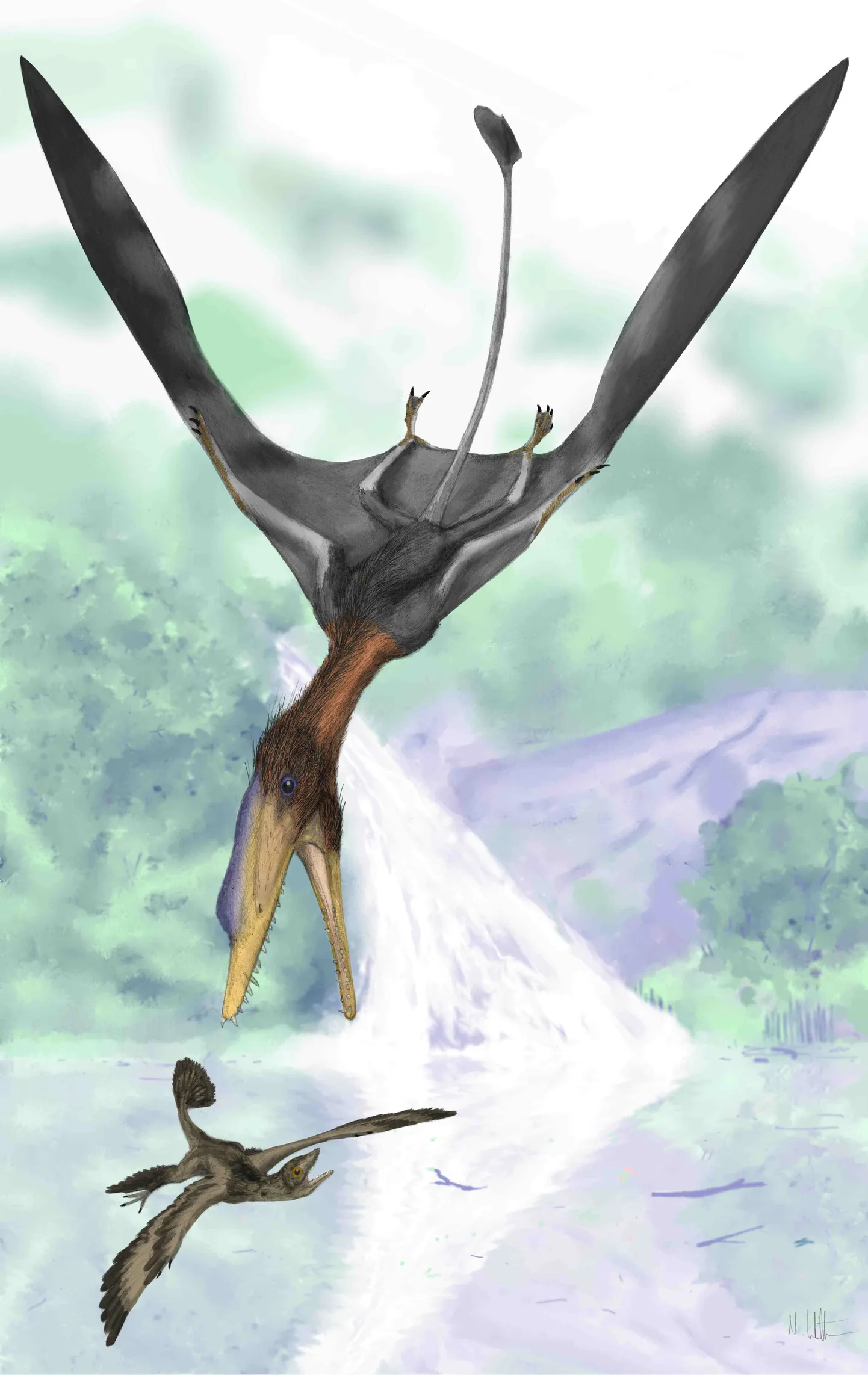 Kunstniku nägemus Darwinopterus´est