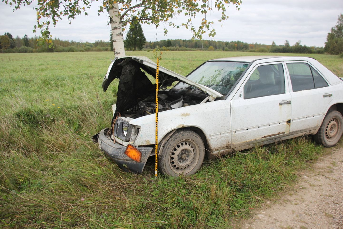 Tartu vallas Sinikülas kaotas 14-aastane poiss juhitud sõiduauto Mercedes-Benz üle kontrolli ja paiskus teelt välja vastu puud.