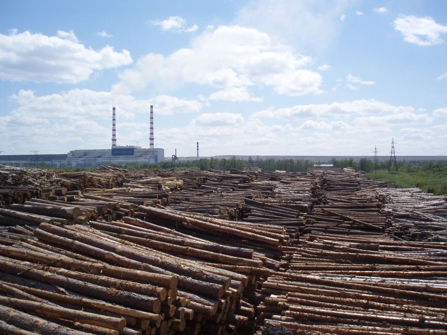 Fotole mahtunud männipalgikoormad Eesti Energia laoplatsil moodustavad vaid umbes kümnendiku sellest puidukogusest, mis aastas läheb Narva Elektrijaamade kateldesse.