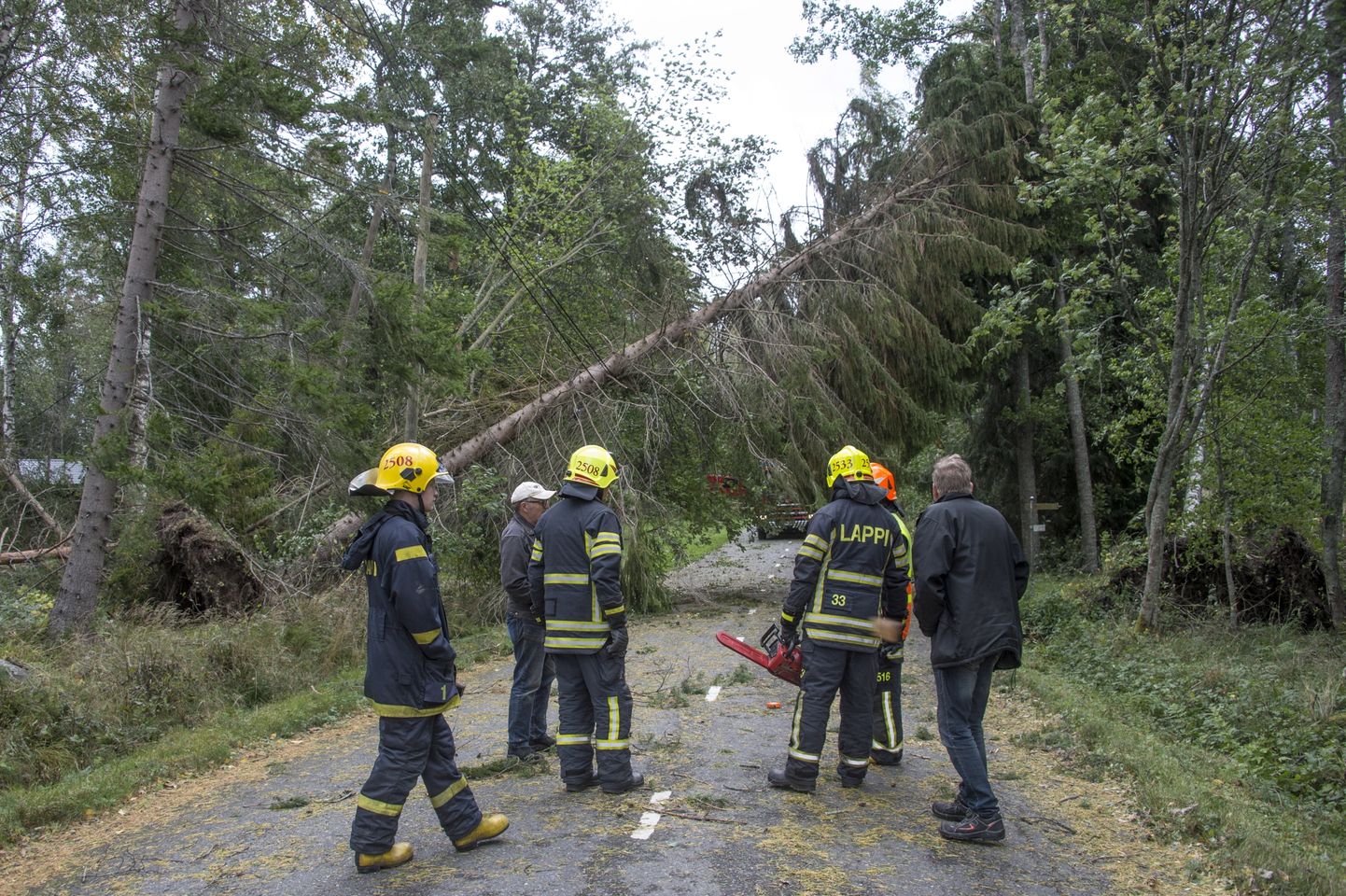 Soome päästetöötajad kõrvaldamas tormi tõttu teele langenud puud.