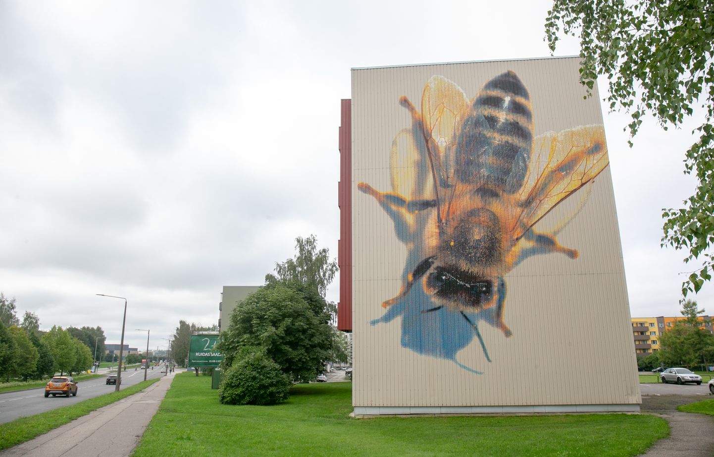 Sõpruse pst 3 maja otsaseina Annelinnas kaunistab hiiglaslik pilt mesilasest.