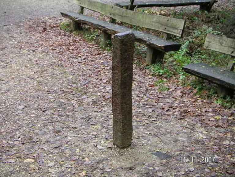 Raksta foto