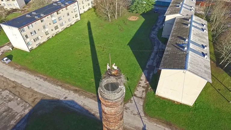 Toonekurepesa Olustvere katlamaja korstna otsas.