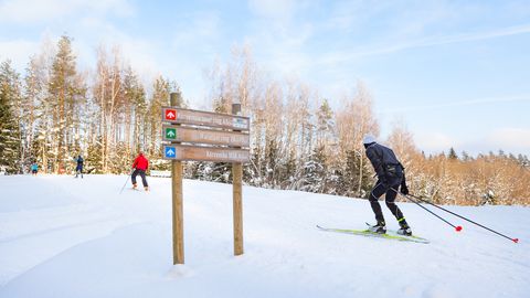 Тропы здоровья по всей Эстонии ждут лыжников