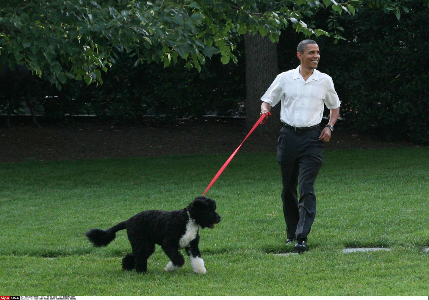 Barack Obama ja koer Bo